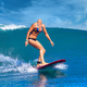 Image for article titled Inspiring Woman Becomes Professional Surfer Despite Shark Biting Head Off